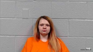 Ally Meadows Arrest Mugshot