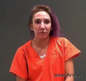 Alysa Anderson Arrest Mugshot