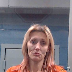 Amanda Ford Arrest Mugshot