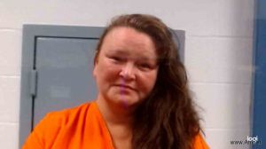 Amanda Sheppard Arrest Mugshot