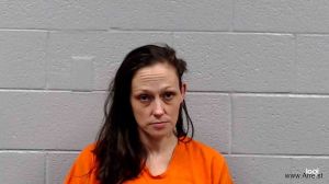 Amanda Toler Arrest Mugshot