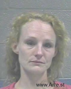 Amber Hines Arrest