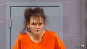 Amy Brown Arrest