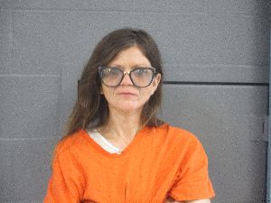 Angela Hartley Arrest Mugshot