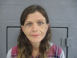 Angela Hartley Arrest Mugshot