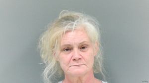 Angela Plumley Arrest Mugshot