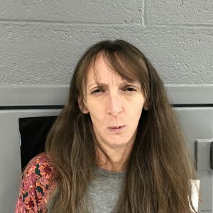 Angela Shiflett Arrest