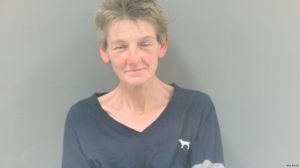 Anita Blevins Arrest Mugshot