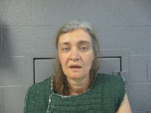 Anna Engelberg Arrest Mugshot