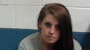 Ashlei Mcclellan Arrest