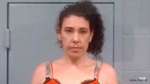 Ashley Laner Arrest Mugshot