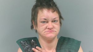 Ashley Mullins Arrest Mugshot