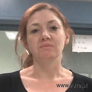Ashley Sansone Arrest