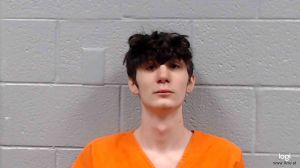 Ashton Drewes Arrest Mugshot