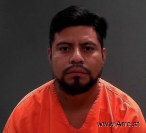 Audeli Perez Arrest Mugshot