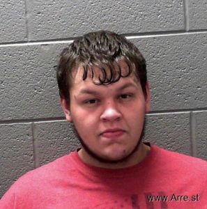Austin Robinson Arrest Mugshot