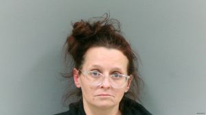 Brandi Wilcox Arrest Mugshot