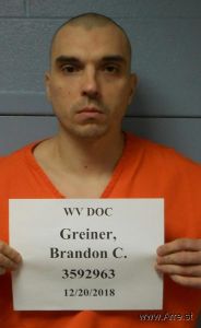 Brandon Greiner Arrest Mugshot