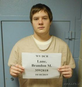 Brandon Lane Arrest