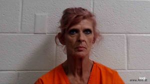 Brenda Reed Arrest