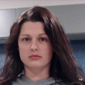 Brittany Camp Arrest Mugshot