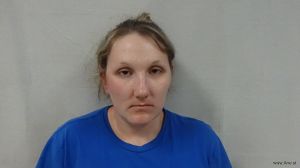 Brittany Ritter Arrest Mugshot