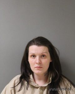 Brittany Stephenson Arrest
