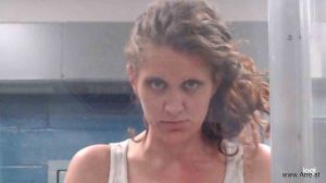 Brittany Wehrle Arrest Mugshot