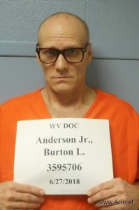 Burton Anderson Arrest Mugshot