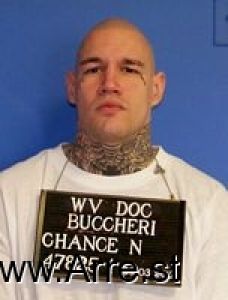 Chance Buccheri Arrest Mugshot
