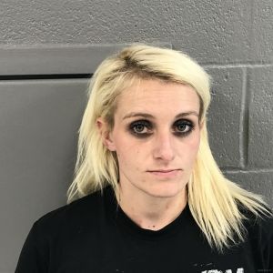 Carrie Pritt Arrest