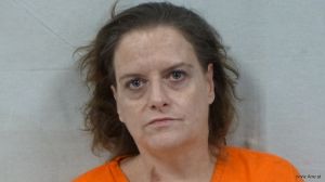 Carrie Wildman Arrest Mugshot