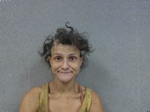 Casey Wilson Arrest Mugshot