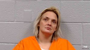 Christine Halvorson Arrest Mugshot