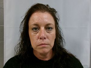 Crystal Hensley Arrest Mugshot