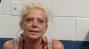 Cynthia Cook Arrest
