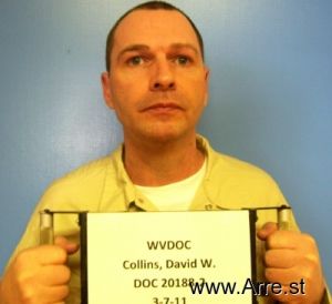 David Collins Arrest Mugshot