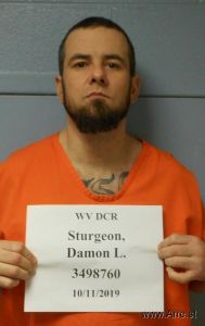 Damon Sturgeon Arrest