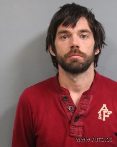 Daniel Wolfe Arrest