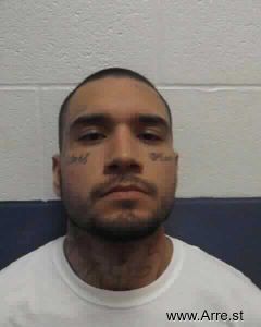 Daniel Gonzalez Arrest