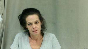 Darlene Lamason Arrest