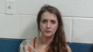 Deborah Price Arrest