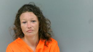 Debra Miller Arrest Mugshot