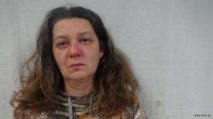 Denise Selman Arrest