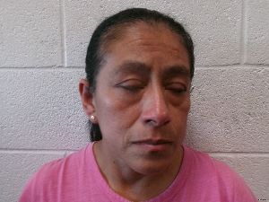 Deysi Diaz Arrest Mugshot