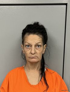 Dianna Baez Arrest Mugshot