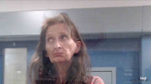 Donna Webb Arrest Mugshot