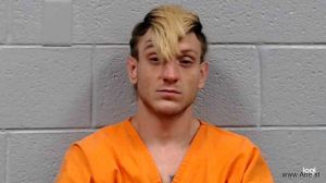Dustin Bradley Arrest Mugshot
