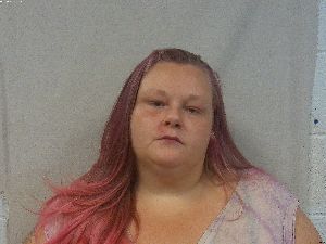 Elizabeth Holcomb Arrest Mugshot