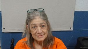 Elizabeth Sears Arrest Mugshot